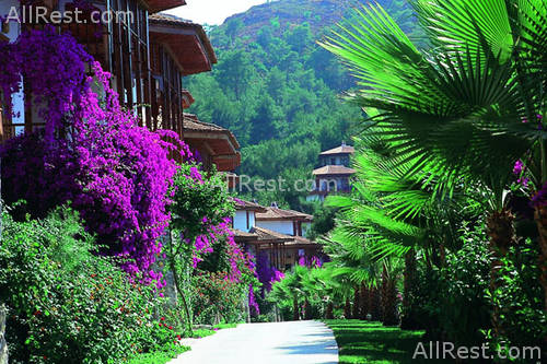 Letoonia Club Hotel 3